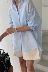 Sheer Stripe Shirt