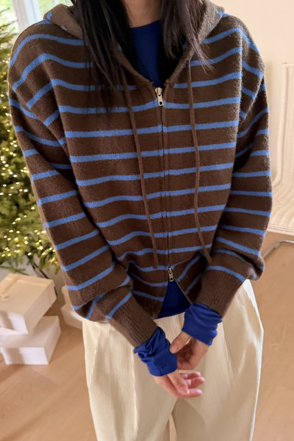Stripe Zip-Up Hoodie