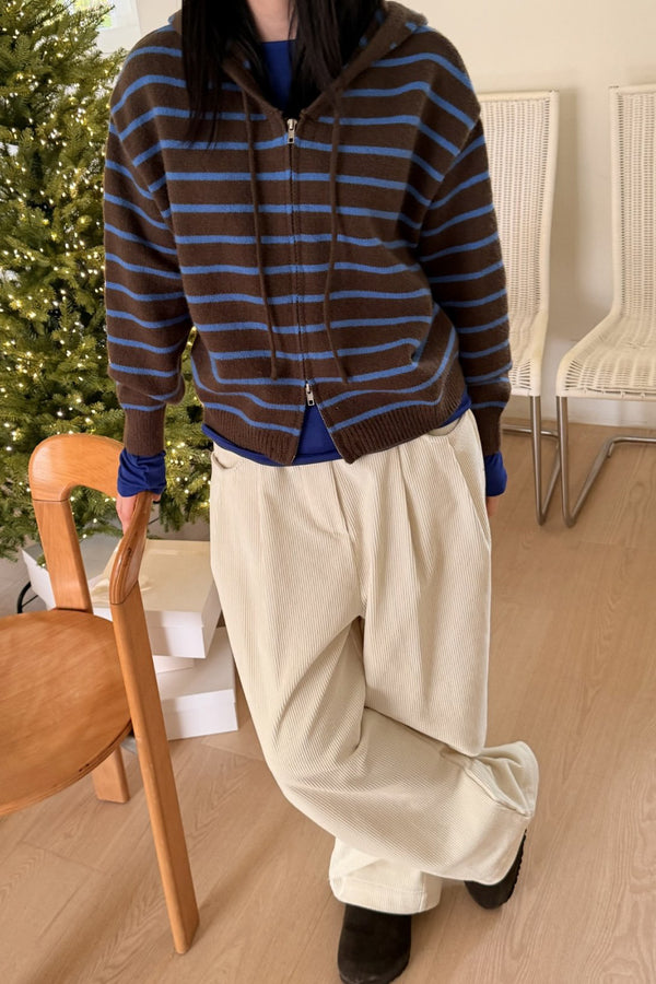 Stripe Zip-Up Hoodie