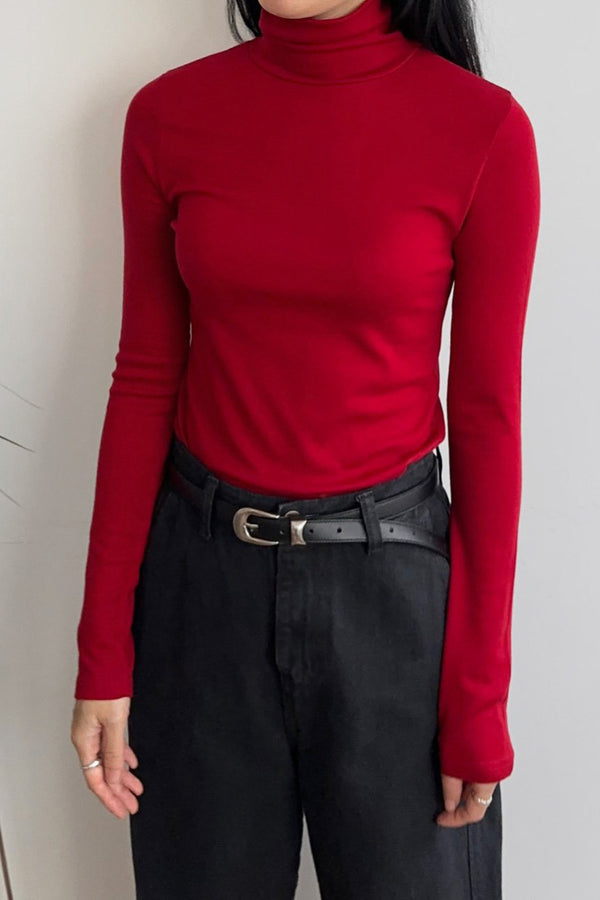 Stretchy Thin Turtleneck