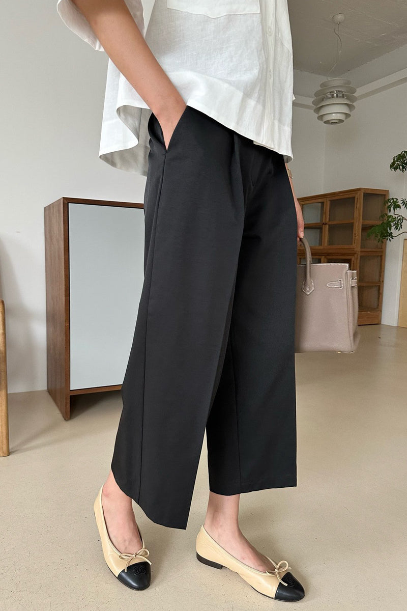 Polished Pleat Pants