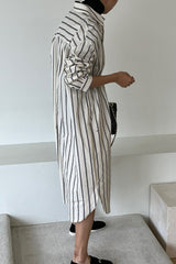 Milan Shirt Dress