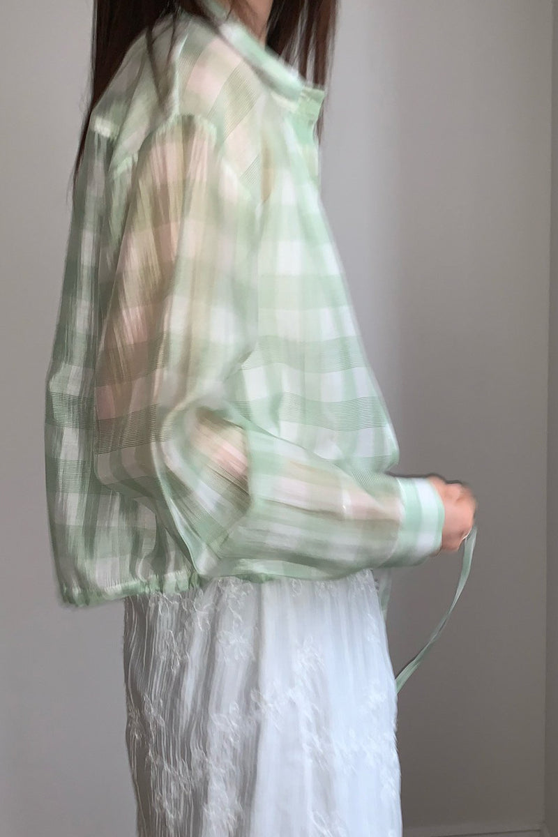 Sheer Gingham Blouse