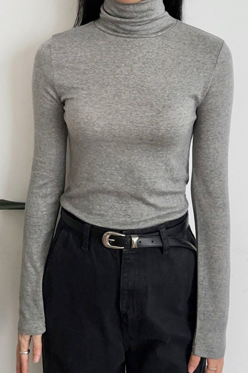 Stretchy Thin Turtleneck