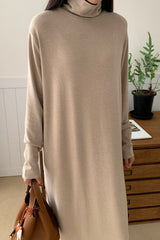 Simple Turtleneck Dress