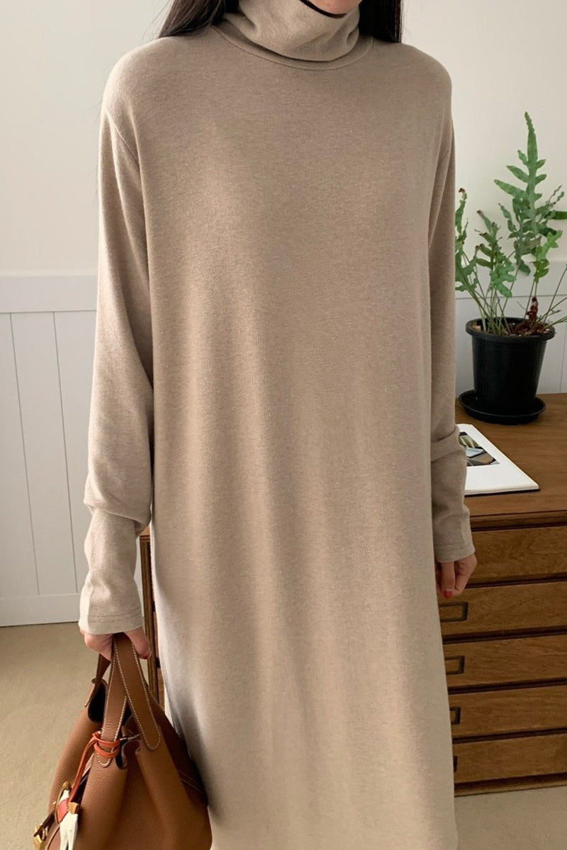 Simple Turtleneck Dress