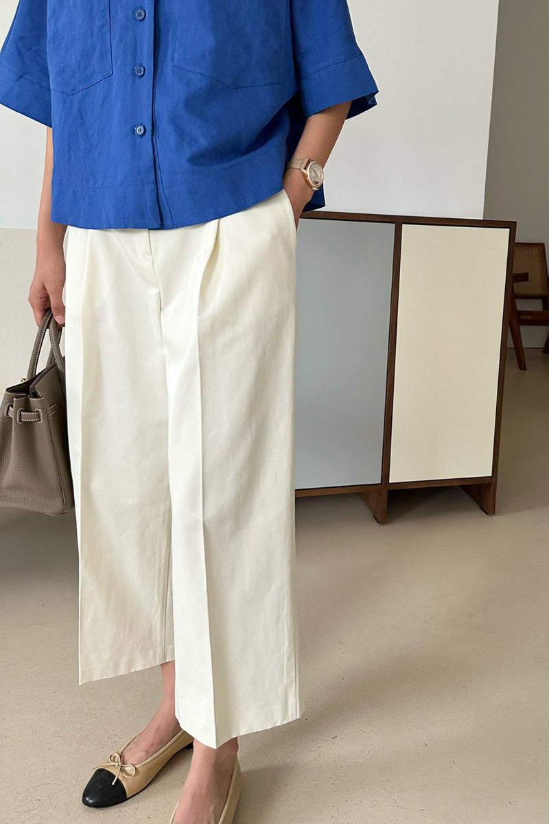 Polished Pleat Pants