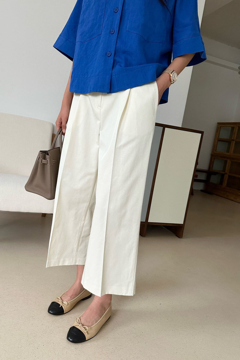 Polished Pleat Pants