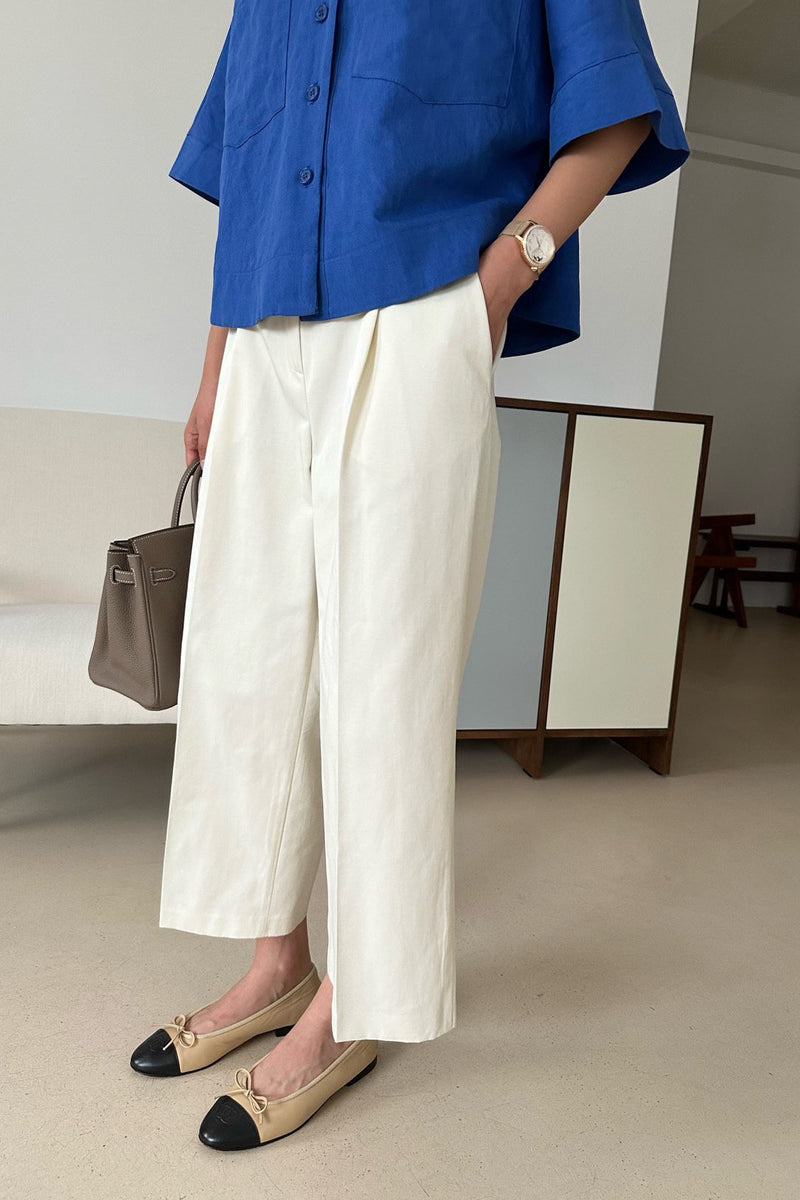 Polished Pleat Pants